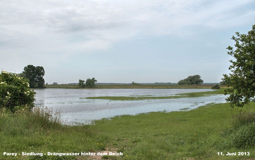 Hochwasser- 2013_06_11-001-Parey-Siedlung.jpg